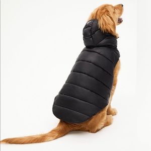 Iso Aritzia Tna Super Ruff Puff 